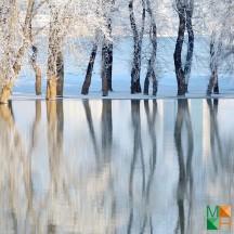 Tranh dán tường Hàn Quốc 3d khổ lớn ở Hà Nội NA - 437